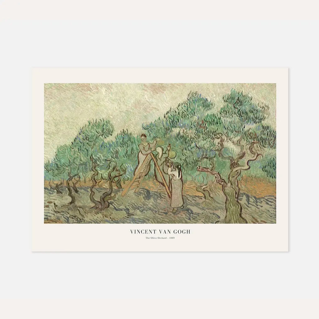Affiche Vincent van Gogh – Oliveraie