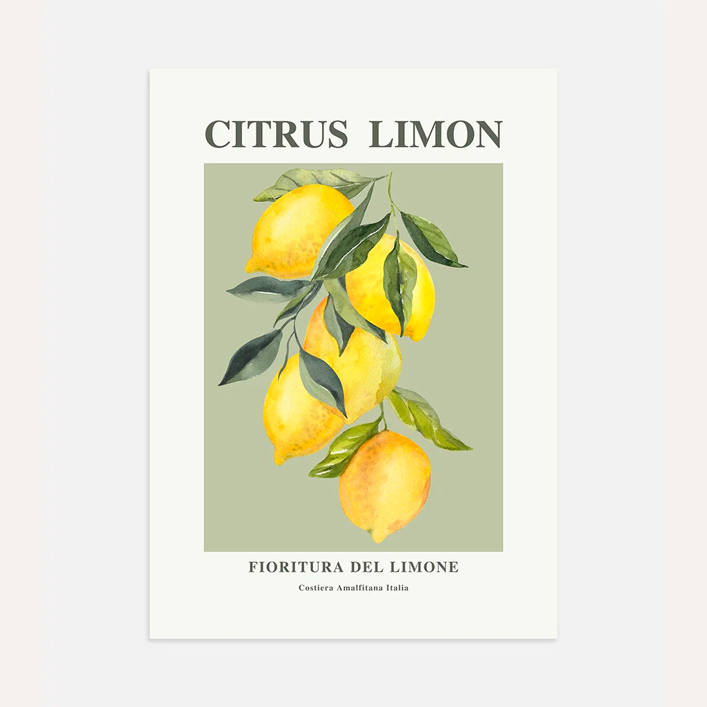 Affiche Branche de Citrons