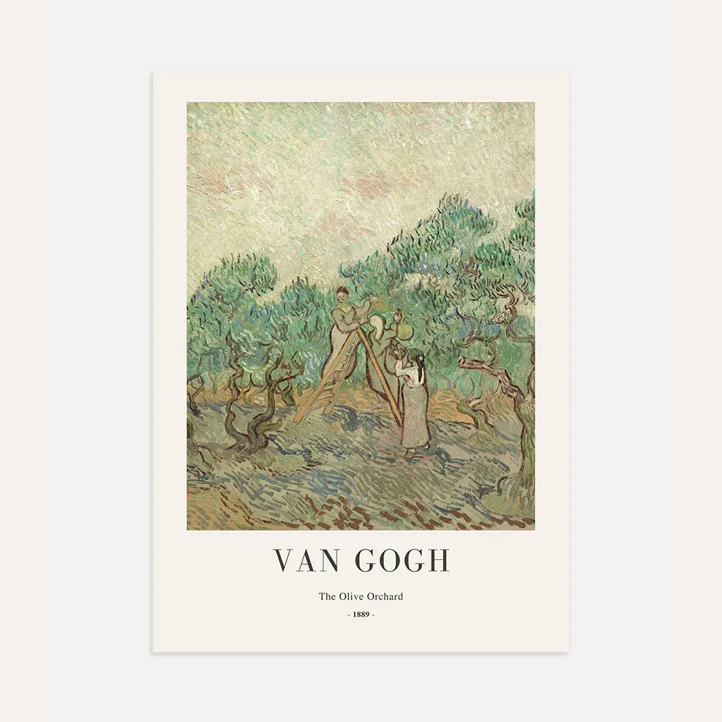 Vincent van Gogh Olive Orchard Poster