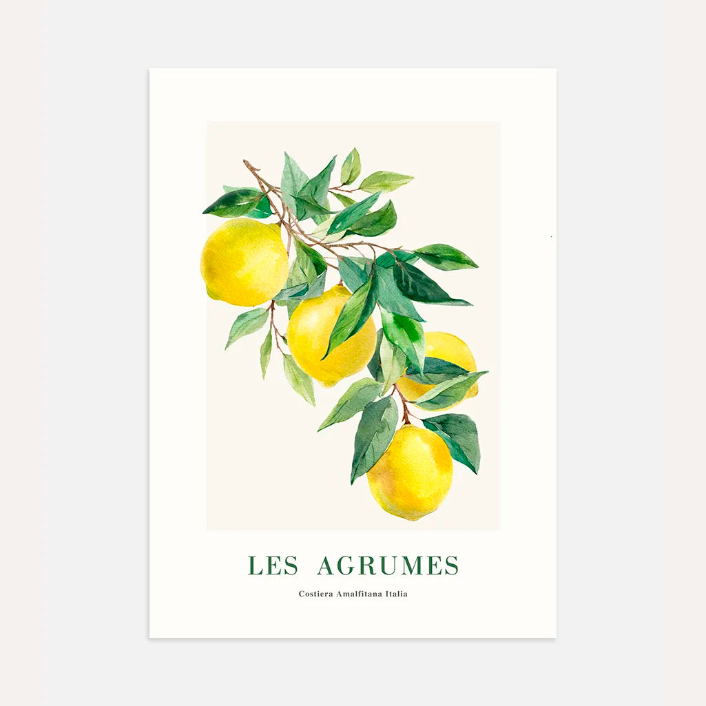 Affiche Citrons - Amalfi 