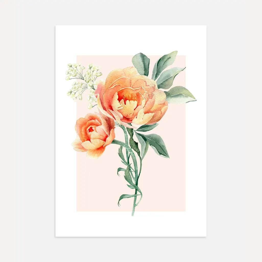 Peach Peonies Poster