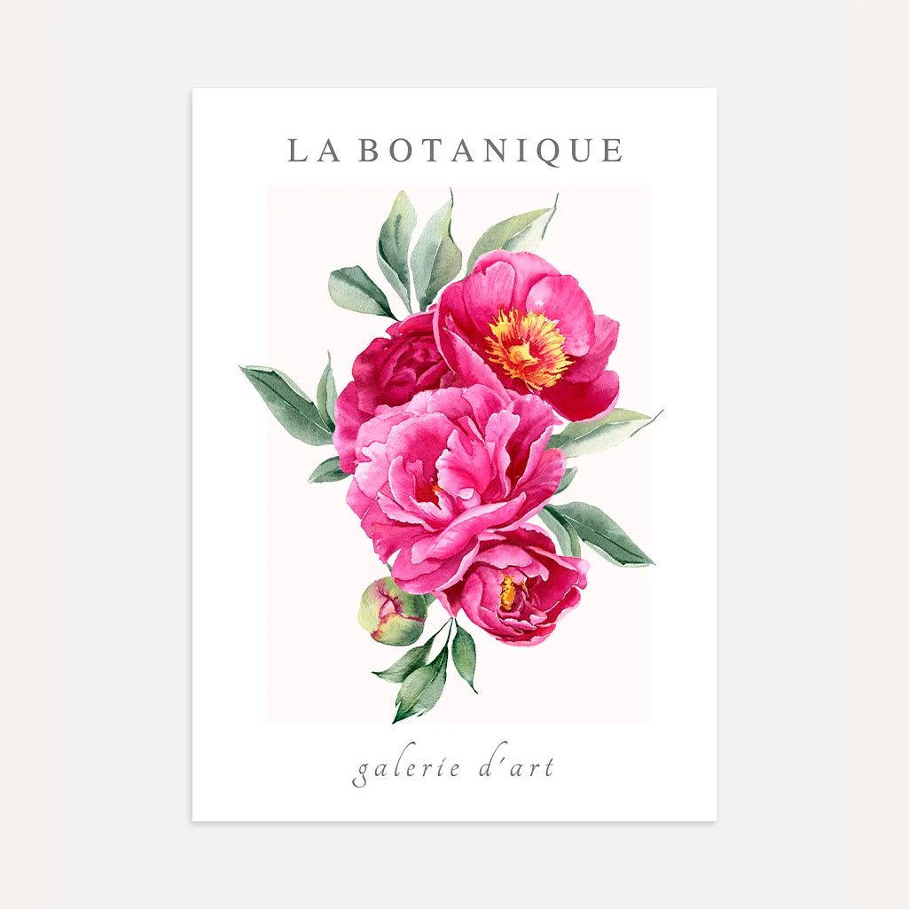 Pink Peony Bouquet Watercolour Poster