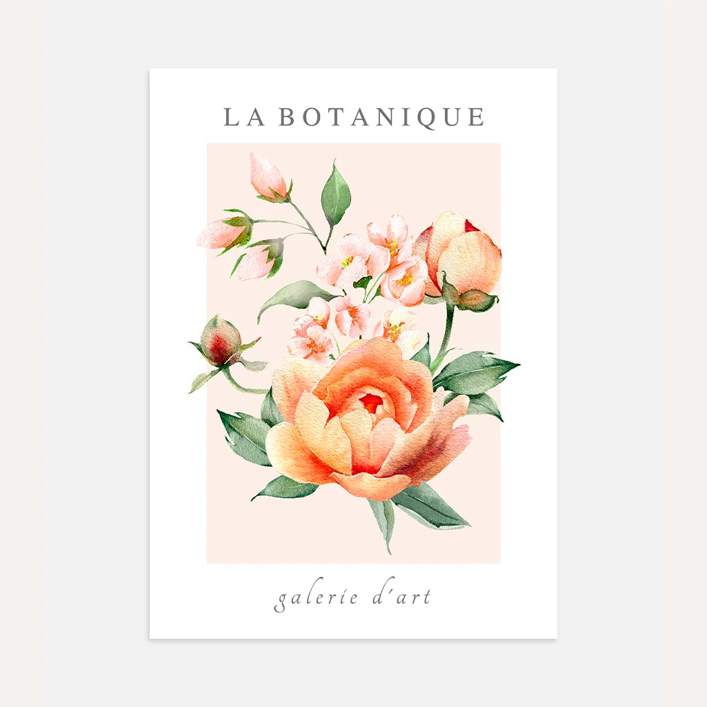 Peach Botanical Flowers Poster