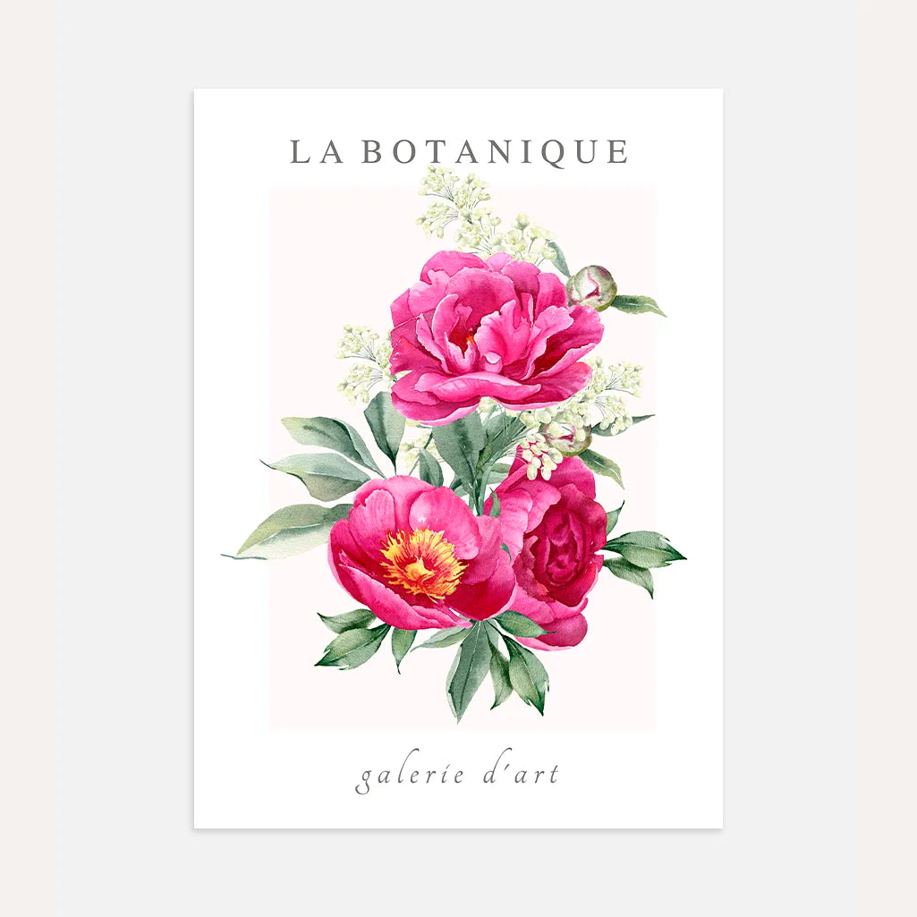 Pink Peonies Watercolour Elegance Poster