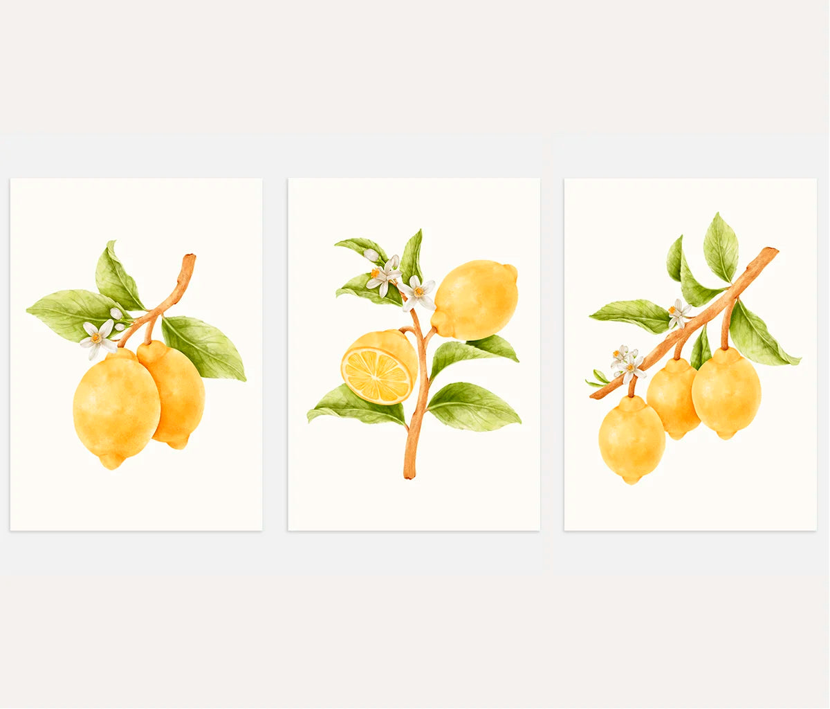 Lemon Botanical Watercolor Prints – Citrus Blossom Set of 3