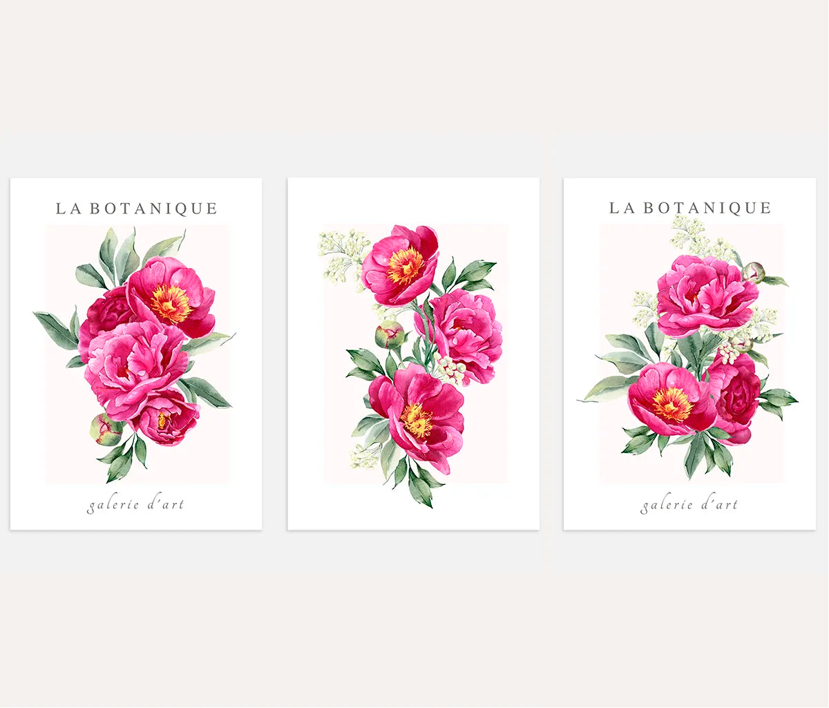 Pink Peony Watercolor Prints – Floral Botanical Set of 3