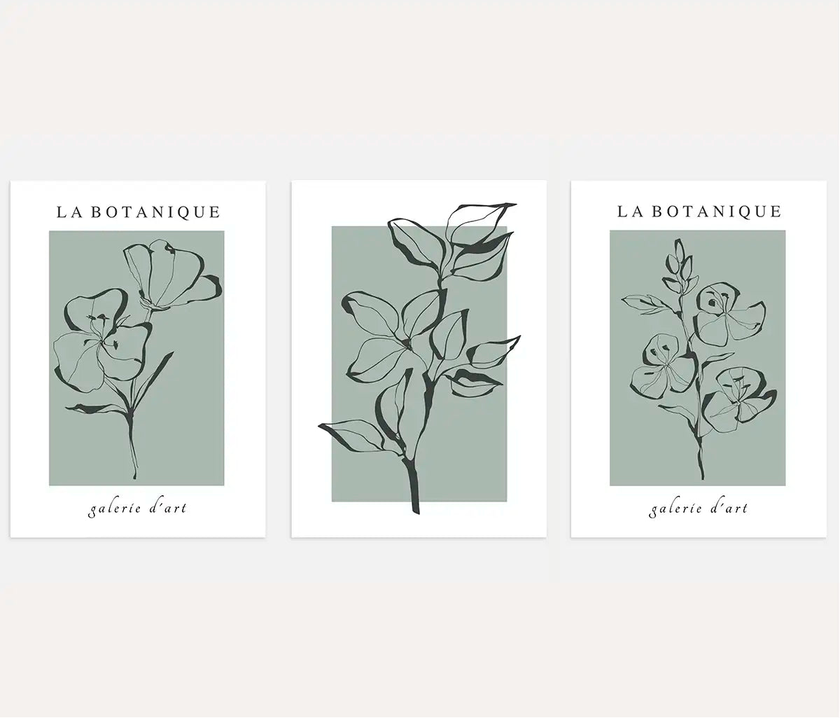 Sage Green Botanical Line Art Prints – Minimal Floral Set of 3