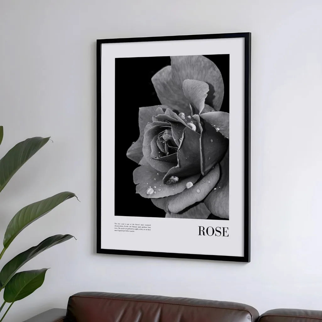 Black and White Rose Poster