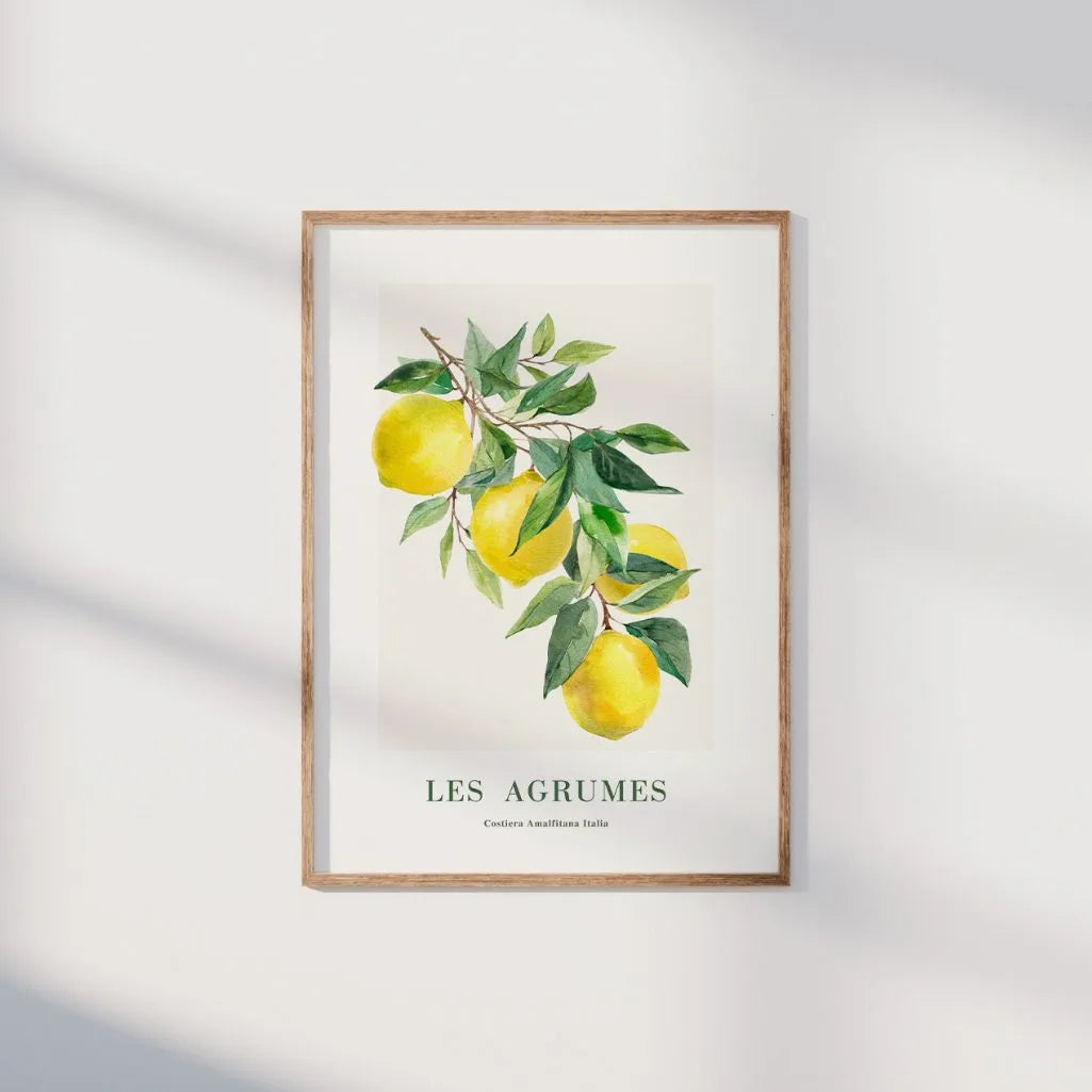 Affiche Citrons - Amalfi 