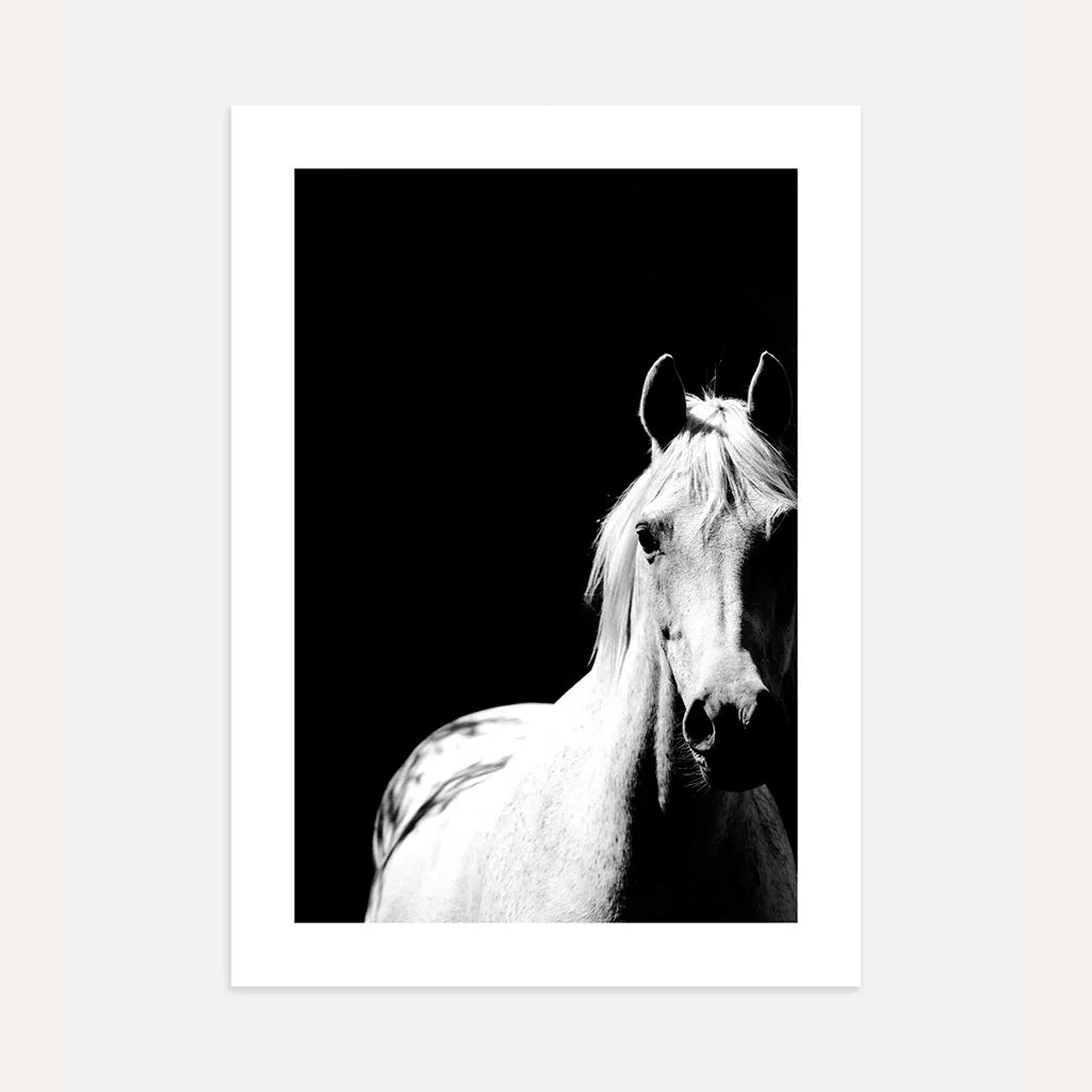 black white horse poster wall art