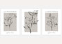 botanical line art poster set beige grey minimalist wall art for modern interior