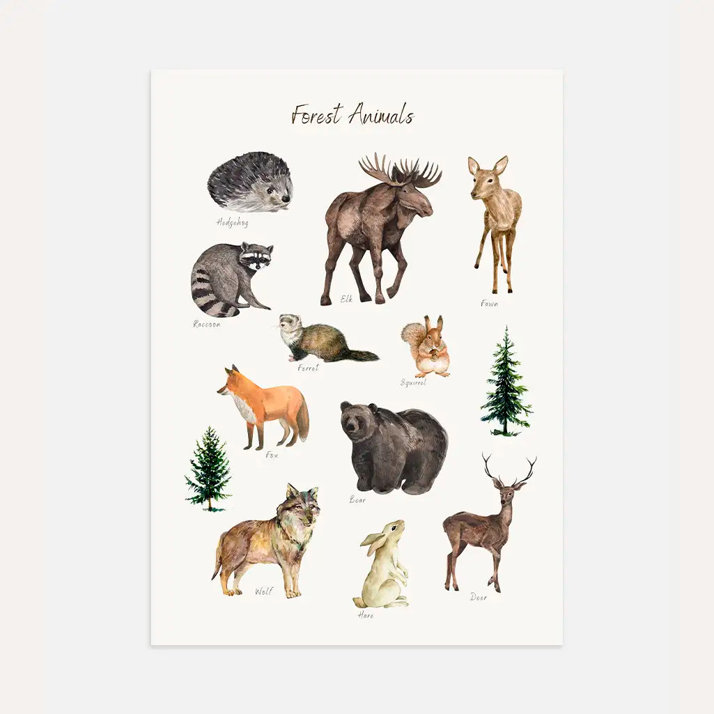 forest animals educational poster kids wall art