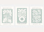 graphic botanical poster set wall art for living room