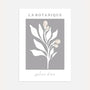 graphite botanique plant poster dark grey minimalist botanical wall art