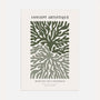 green coral abstract poster organic wall art