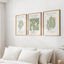 henri matisse scandinavian olive green wall art set