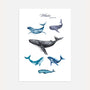 underwater whales poster kids wall art